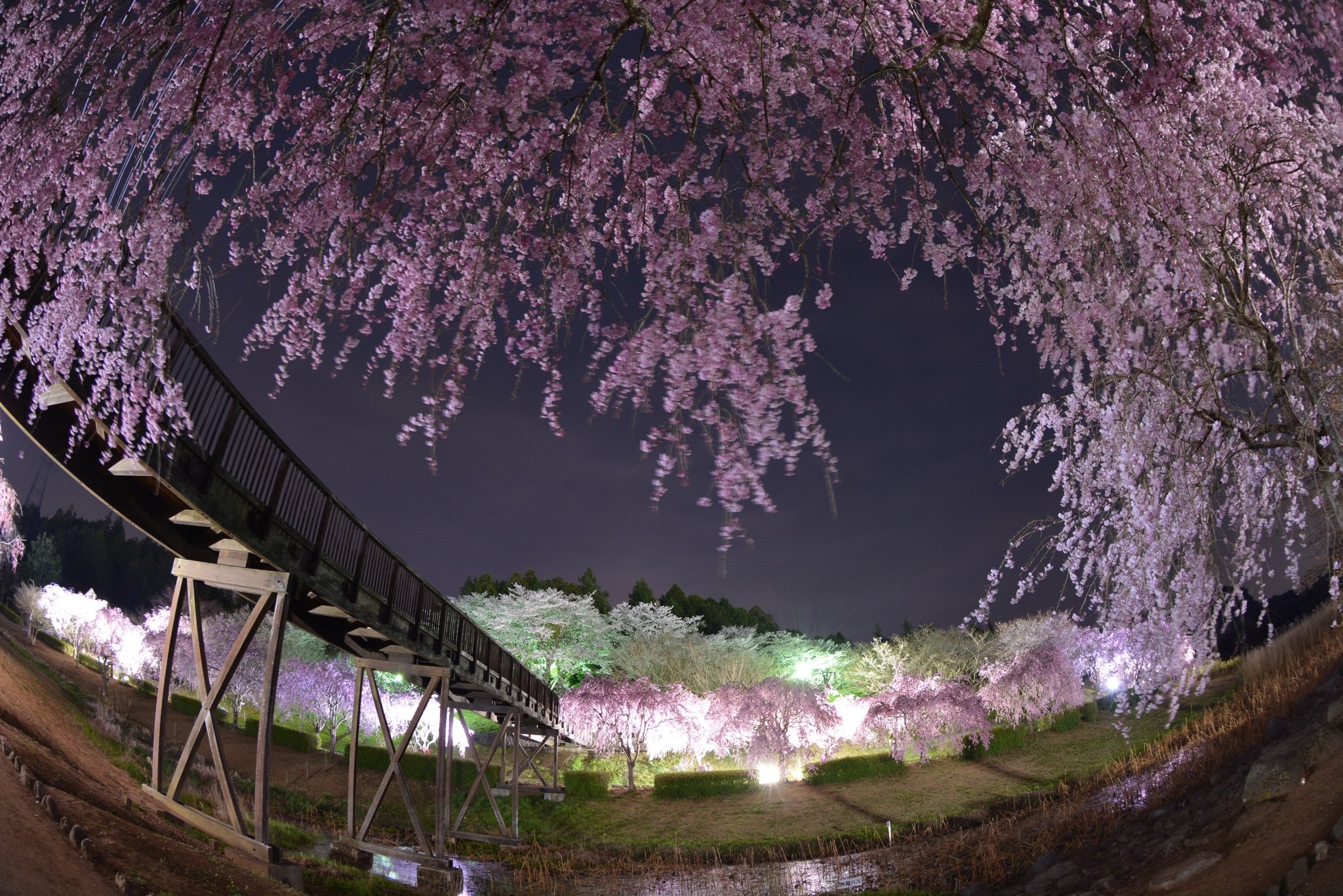 🌳 히타치 풍토기의 언덕(히타치 후도키노오카) 이미지 8